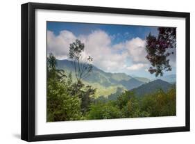 Serra Do Mar Jungle in Sao Paulo State-Alex Saberi-Framed Premium Photographic Print