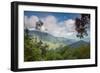 Serra Do Mar Jungle in Sao Paulo State-Alex Saberi-Framed Premium Photographic Print