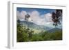 Serra Do Mar Jungle in Sao Paulo State-Alex Saberi-Framed Premium Photographic Print