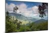 Serra Do Mar Jungle in Sao Paulo State-Alex Saberi-Mounted Premium Photographic Print