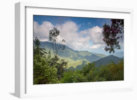 Serra Do Mar Jungle in Sao Paulo State-Alex Saberi-Framed Photographic Print