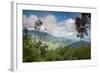 Serra Do Mar Jungle in Sao Paulo State-Alex Saberi-Framed Photographic Print