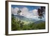 Serra Do Mar Jungle in Sao Paulo State-Alex Saberi-Framed Photographic Print