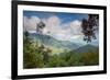 Serra Do Mar Jungle in Sao Paulo State-Alex Saberi-Framed Photographic Print