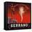 Serrano Brand - Redlands, California - Citrus Crate Label-Lantern Press-Framed Stretched Canvas