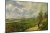 Serre du chou, pres de Pontoise (The cabbage garden near Pontoise), 1878 .-Camille Pissarro-Mounted Giclee Print