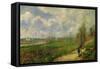 Serre du chou, pres de Pontoise (The cabbage garden near Pontoise), 1878 .-Camille Pissarro-Framed Stretched Canvas