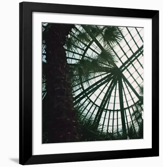 Serres 4, 2008-Alexandre Bibaut-Framed Premium Giclee Print