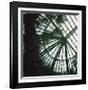 Serres 4, 2008-Alexandre Bibaut-Framed Premium Giclee Print