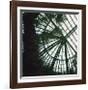 Serres 4, 2008-Alexandre Bibaut-Framed Premium Giclee Print