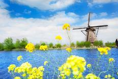 Old Rotating Water Pumping Windmill in Holland-SerrNovik-Photographic Print