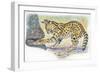 Serval Felis Serval Catching Reptile-null-Framed Giclee Print