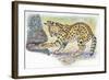 Serval Felis Serval Catching Reptile-null-Framed Giclee Print