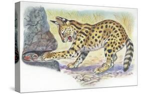 Serval Felis Serval Catching Reptile-null-Stretched Canvas