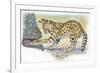 Serval Felis Serval Catching Reptile-null-Framed Giclee Print