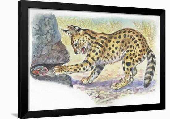 Serval Felis Serval Catching Reptile-null-Framed Giclee Print