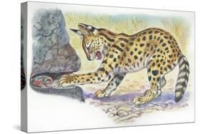 Serval Felis Serval Catching Reptile-null-Stretched Canvas