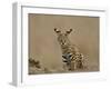 Serval (Felis Serval) Cub on Termite Mound, Masai Mara National Reserve, Kenya, East Africa-James Hager-Framed Photographic Print