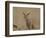 Serval (Felis Serval) Cub on Termite Mound, Masai Mara National Reserve, Kenya, East Africa-James Hager-Framed Photographic Print