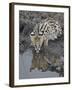 Serval (Felis Serval) Drinking, Masai Mara National Reserve, Kenya, East Africa, Africa-James Hager-Framed Photographic Print