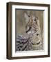 Serval (Felis Serval), Masai Mara National Reserve, Kenya, East Africa, Africa-James Hager-Framed Photographic Print