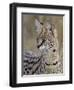 Serval (Felis Serval), Masai Mara National Reserve, Kenya, East Africa, Africa-James Hager-Framed Photographic Print