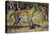 Serval (Leptailurus Serval or Felis Serval), Felidae-null-Stretched Canvas