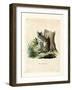 Serval-null-Framed Giclee Print