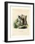 Serval-null-Framed Giclee Print