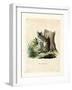 Serval-null-Framed Giclee Print