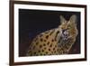 Servalli-Durwood Coffey-Framed Giclee Print