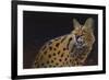 Servalli-Durwood Coffey-Framed Giclee Print