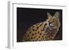 Servalli-Durwood Coffey-Framed Giclee Print