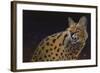 Servalli-Durwood Coffey-Framed Giclee Print