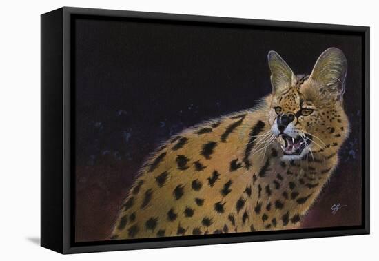 Servalli-Durwood Coffey-Framed Stretched Canvas