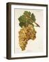 Servant Grape-J. Troncy-Framed Giclee Print