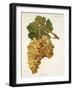 Servant Grape-J. Troncy-Framed Giclee Print