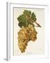 Servant Grape-J. Troncy-Framed Giclee Print