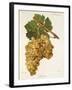 Servant Grape-J. Troncy-Framed Giclee Print