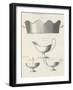 Server Ware I-Anna Polanski-Framed Art Print