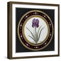 Service to the Empress Josephine Liacées: Iris Susa-null-Framed Giclee Print