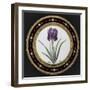 Service to the Empress Josephine Liacées: Iris Susa-null-Framed Giclee Print