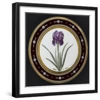 Service to the Empress Josephine Liacées: Iris Susa-null-Framed Giclee Print