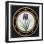 Service to the Empress Josephine Liacées: Iris Susa-null-Framed Giclee Print