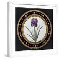 Service to the Empress Josephine Liacées: Iris Susa-null-Framed Giclee Print