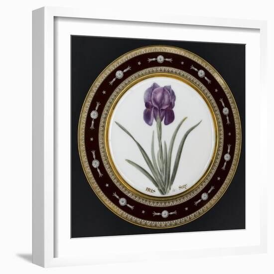 Service to the Empress Josephine Liacées: Iris Susa-null-Framed Giclee Print