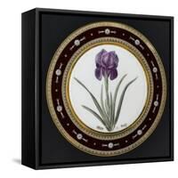 Service to the Empress Josephine Liacées: Iris Susa-null-Framed Stretched Canvas