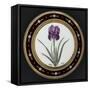 Service to the Empress Josephine Liacées: Iris Susa-null-Framed Stretched Canvas