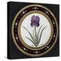 Service to the Empress Josephine Liacées: Iris Susa-null-Stretched Canvas