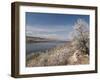 Serviceberry, Horsetooth Reservoir, Fort Collins, Colorado, USA-Trish Drury-Framed Photographic Print